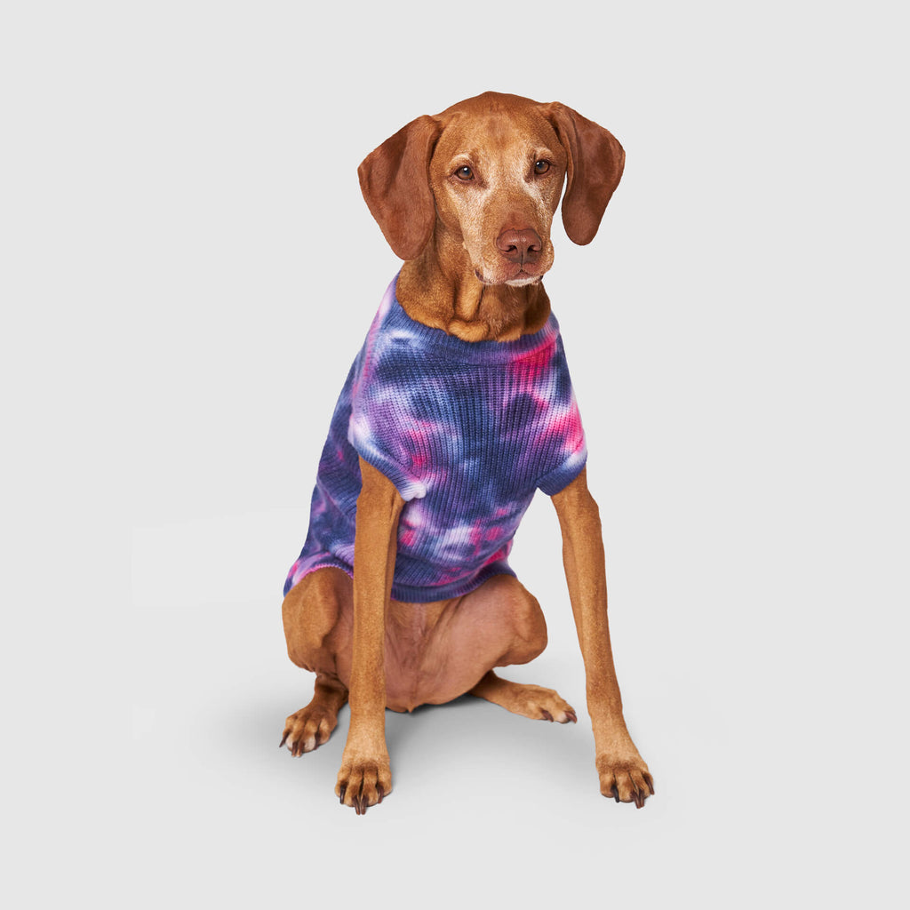 Wild Side Sweater - Z033